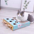 3 in 1 Interactive Cat Toy with Scratcher