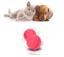 Automatic Rolling Laser Cat Toy Ball