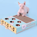 3 in 1 Interactive Cat Toy with Scratcher