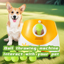 Automatic Tennis Ball Launcher Dog Fetch Toy