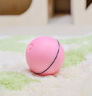 Automatic Rolling Laser Cat Toy Ball