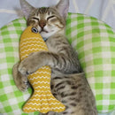 Interactive Cat Fish Toy