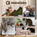 TV-Shaped Cardboard Cat House with Scratcher, Catnip & Toy Rat | Interactive Cat Hideaway