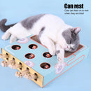 3 in 1 Interactive Cat Toy with Scratcher