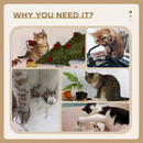 Cat Tree Activity Centre with Scratching Posts, Tunnel & Dangling Ball | Plush Cat Tower