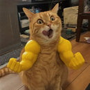 Funny Muscle Pet Wall Hook