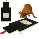 Wooden Dog Nail Scratch Board with Built-in Snack Box.